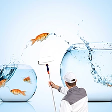 Nachhaltigkeit - Goldener Fisch Umzug in einen besseren Ort - Stock-Fotografie